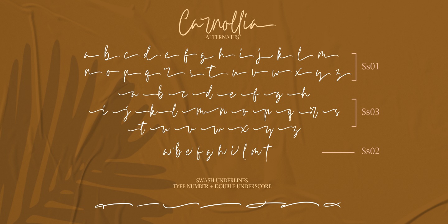 Przykład czcionki Carnollia Signature Regular